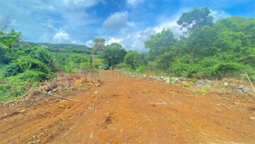 淡水區待售房屋