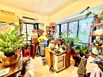 三普金山名人待售房屋