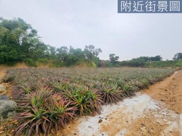 樂屋_大樹區待售房屋 大樹區待售房屋