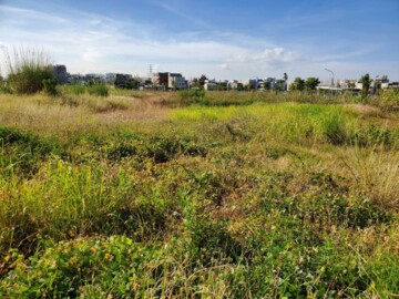 岡山區待租房屋