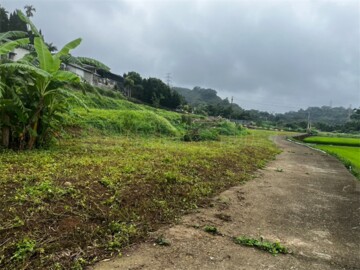 南庄鄉待售房屋