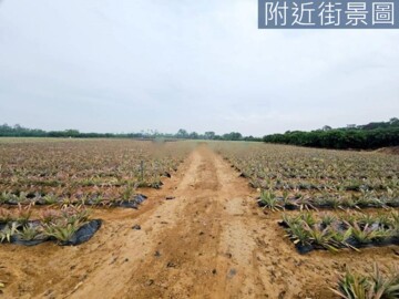 樂屋_大樹區待售房屋 大樹區待售房屋
