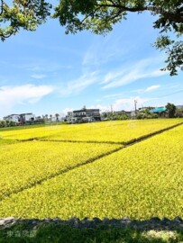 樂屋_羅東鎮待售房屋 羅東鎮待售房屋