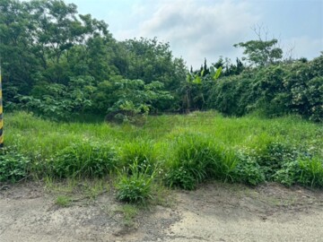 湖口德興87坪農地