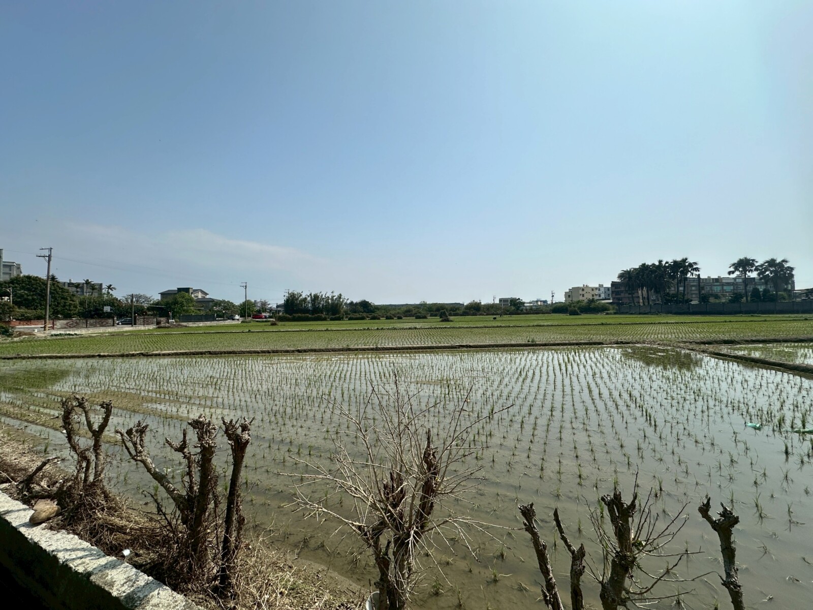 新竹縣竹北市植光待售房屋