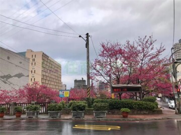 巨豪小築待售房屋