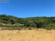 三和國小旁景觀美農地