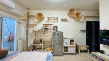 樂屋_市政會館待售房屋 市政會館待售房屋