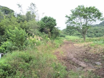 鶯歌區待售房屋