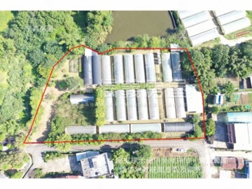 大溪區待售房屋