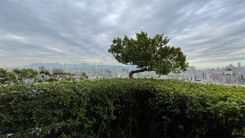 樂屋_台北市大安區璞園信義待售房屋 台北市大安區璞園信義待售房屋