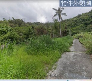 G77青海路臨路農地⭐️有景觀、臨路進出便利/田