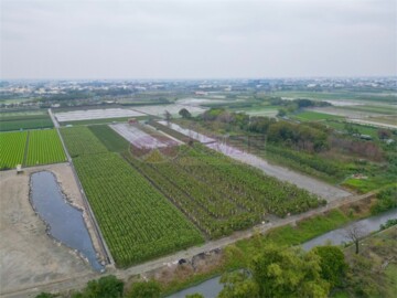 莿桐鄉待售房屋