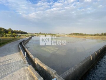 古坑鄉待售房屋