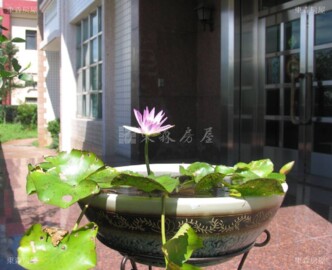 員林市待售房屋