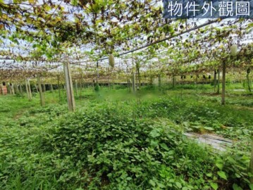 新社區待售房屋