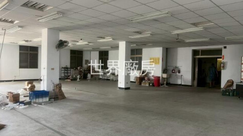 永康區待租房屋