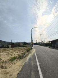 南隘路一般美農地