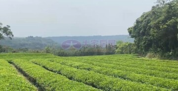 龍潭區待售房屋