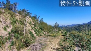 獅潭大平台四甲林地