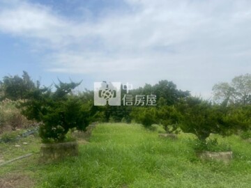 大溪區待售房屋