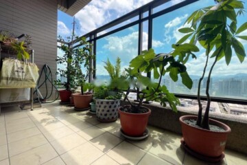 樂屋_水岸之星待售房屋 水岸之星待售房屋