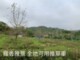 新埔照鏡農地