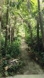 [士林]外雙溪-好山好水.享受大庭院.舒暢!可炊. - Image 1