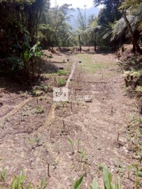 大溪區待售房屋