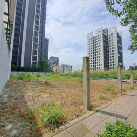 北屯區待租房屋