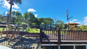 大溪區待售房屋