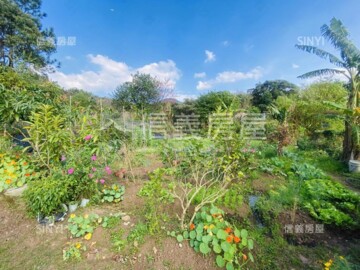 北投區待售房屋