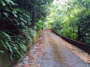 芬園鄉待售房屋