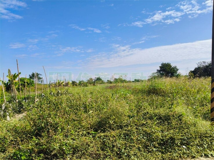 (專)阿蓮中軍段農地