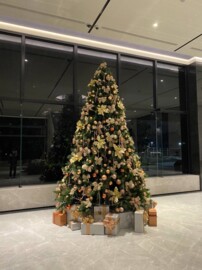 龍騰鑫市鎮待售房屋