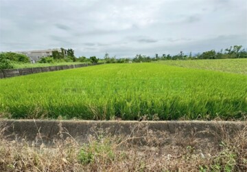 白河區待售房屋