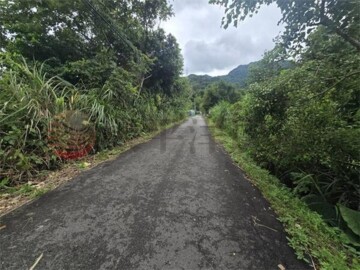 大溪區待售房屋