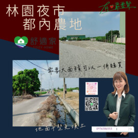 林園區待售房屋