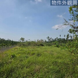 新埤鄉待售房屋