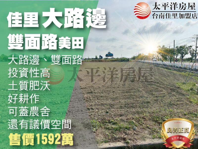 佳里大路邊雙面路美田