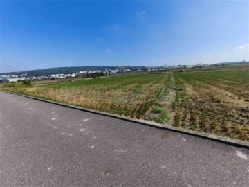 大肚區待售房屋