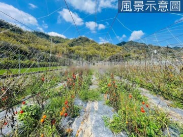 美濃月光/山林涼驚嚇價/三分美農地