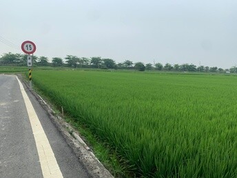 崁頂鄉待售房屋