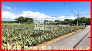 樂屋_大樹區待售房屋 大樹區待售房屋