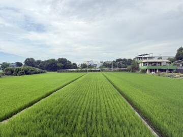 草屯鎮待售房屋