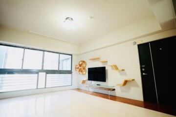 太子紐約57街待售房屋