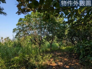 佳冬鄉待售房屋