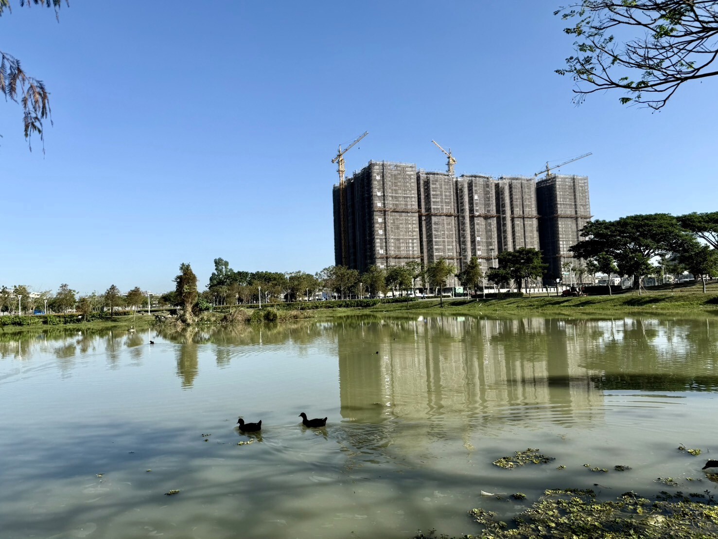 樂屋_高雄市小港區清景麟國家公園待售房屋 高雄市小港區清景麟國家公園待售房屋