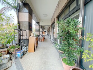 美術林園待售房屋