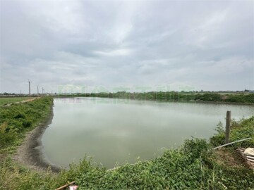 出租-海口級大面積魚塭 - Image 1